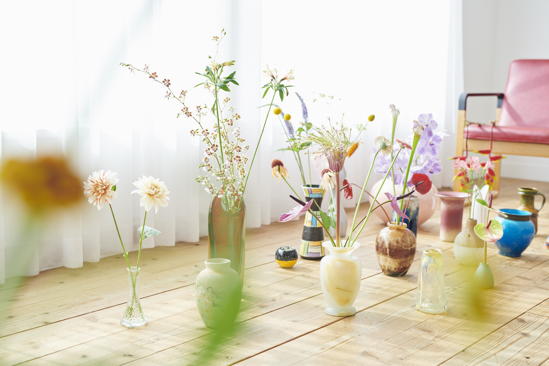 その他撮影写真