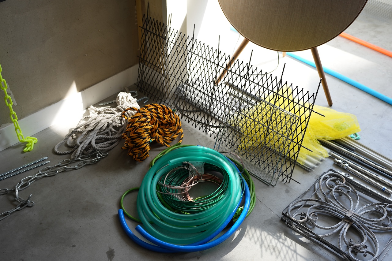 その他撮影写真